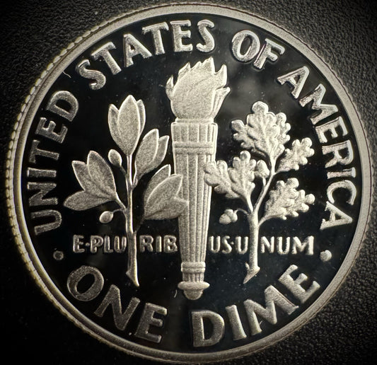 2021-S 99.9% SILVER PROOF Roosevelt Dime .999 Fine DEEP ULTRA CAMEO Coin1