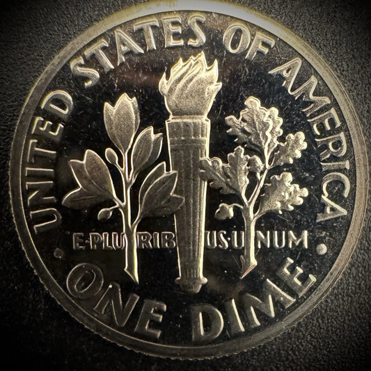 1973-S PROOF Roosevelt Dime 10C Clad DEEP CAMEO Coin From US Mint Proof Set1