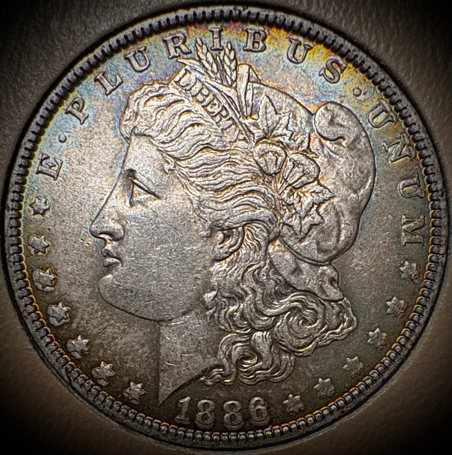 Dollar Coins