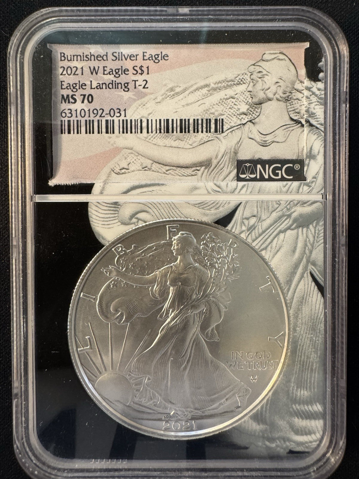 2021-W Burnished Silver Eagle NGC MS70 Eagle Landing T-20