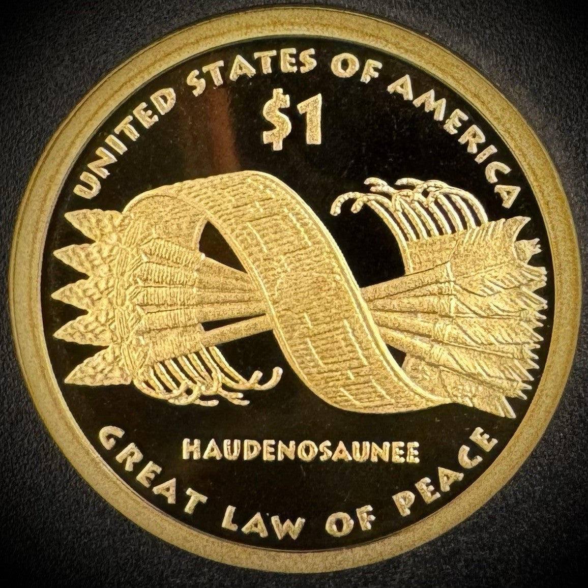 2010-S Sacagawea Dollar GEM PROOF DEEP ULTRA CAMEO Coin1