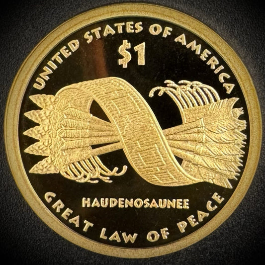 2010-S Sacagawea Dollar GEM PROOF DEEP ULTRA CAMEO Coin1