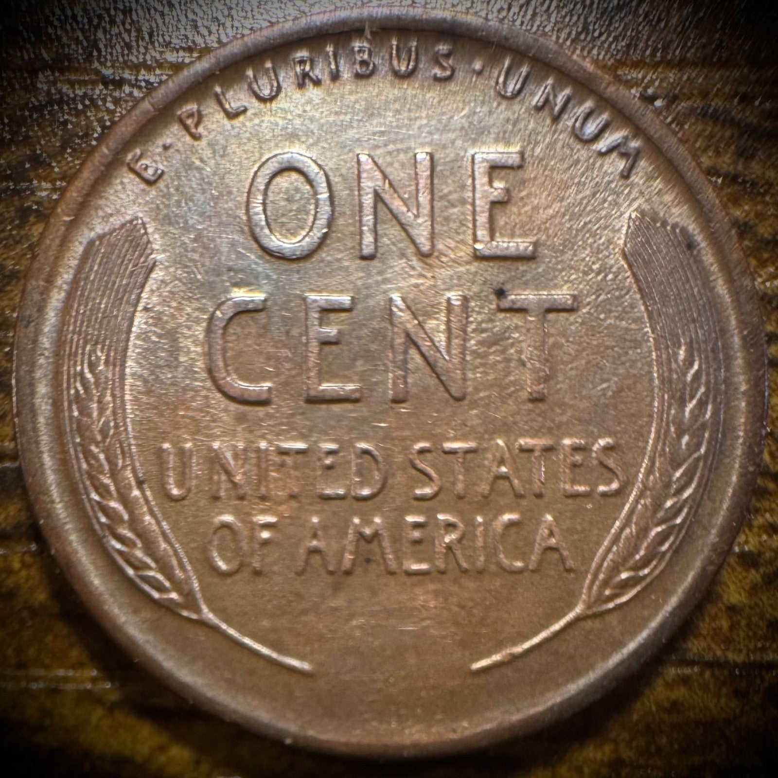 1919-P Lincoln Wheat Cent1