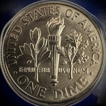 2009 P D Satin Finish Roosevelt Dime 2 Coin Lot From US Mint Uncirculated Set3