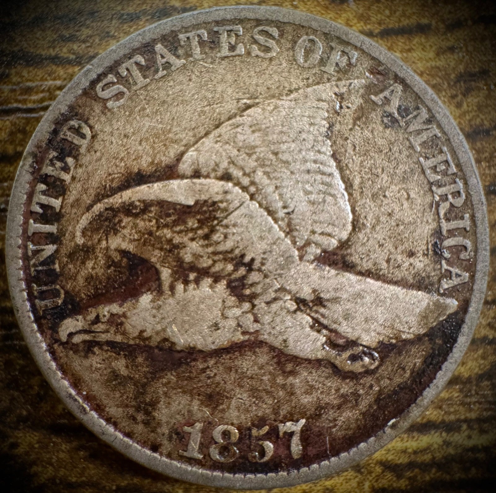 1857 Flying Eagle Cent Penny VF Great Type Set Coin0