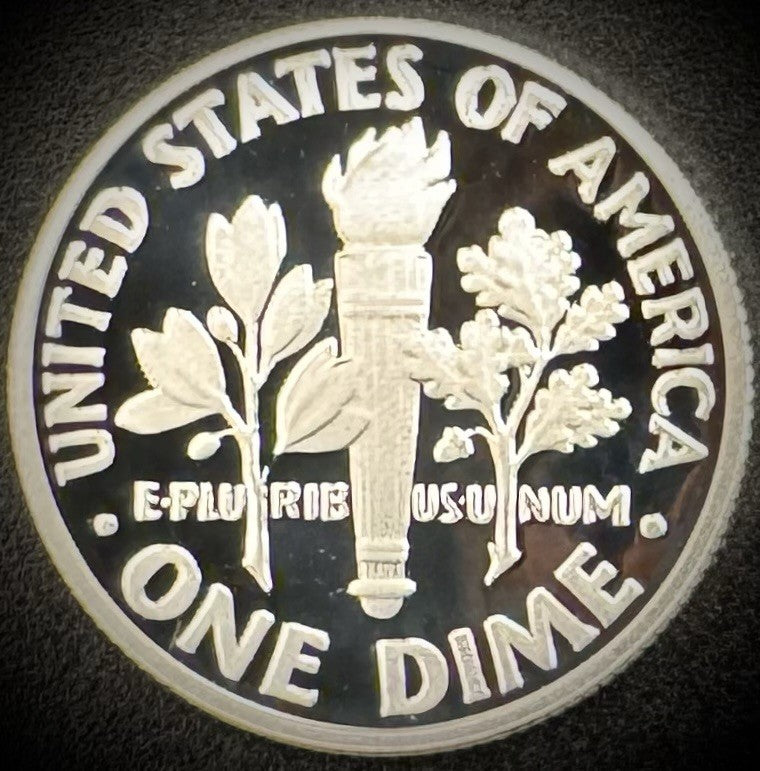 2020-S 99.9% SILVER PROOF Roosevelt Dime .999 Fine DEEP ULTRA CAMEO Coin1