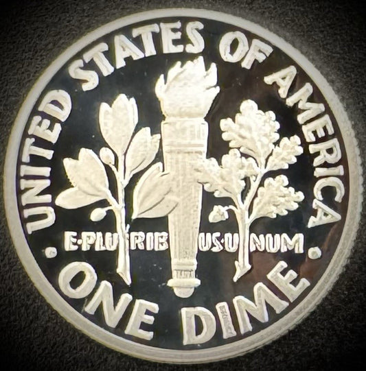 2020-S 99.9% SILVER PROOF Roosevelt Dime .999 Fine DEEP ULTRA CAMEO Coin1