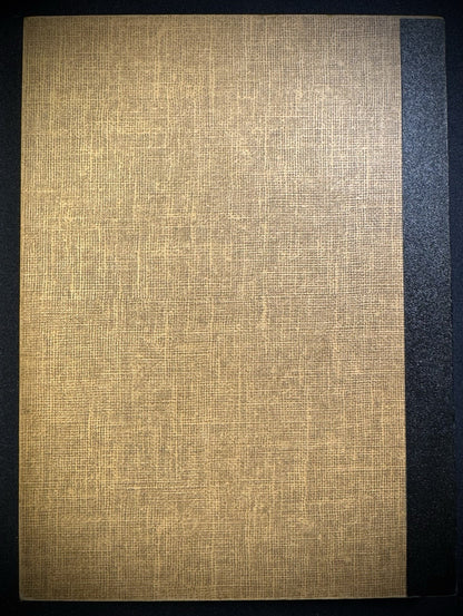 Never Used Vintage Library of Coins Lincoln Cents Part 1 1909-1940 VOL 2 Album9