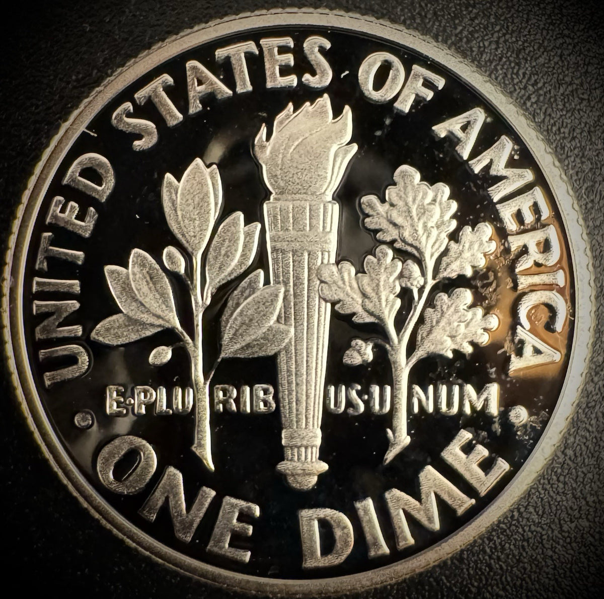 2024-S 99.9% SILVER PROOF Roosevelt Dime .999 Fine DEEP ULTRA CAMEO Coin1