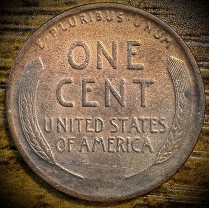 1919-D Lincoln Wheat Cent Multicolored Toning Beautiful Denver Coin VIDEO1