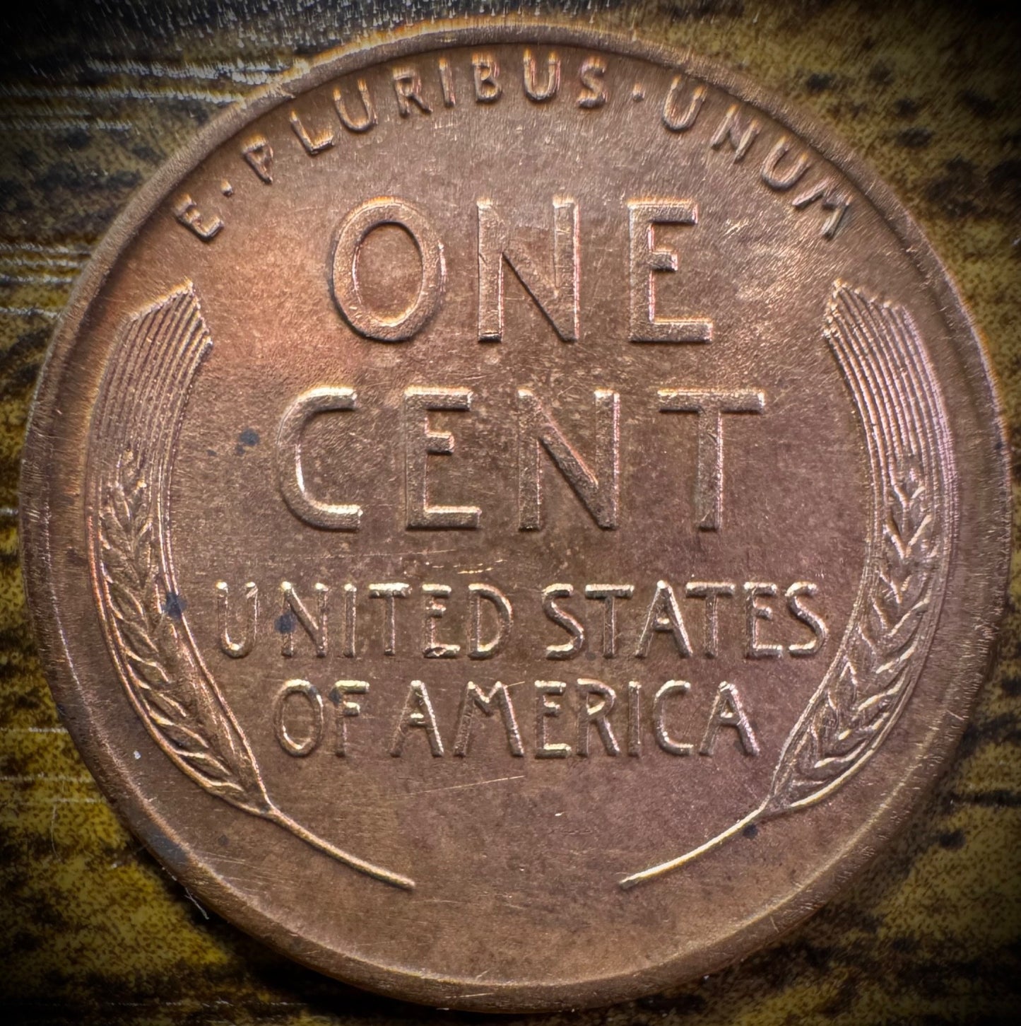 1919-P Lincoln Wheat Cent1