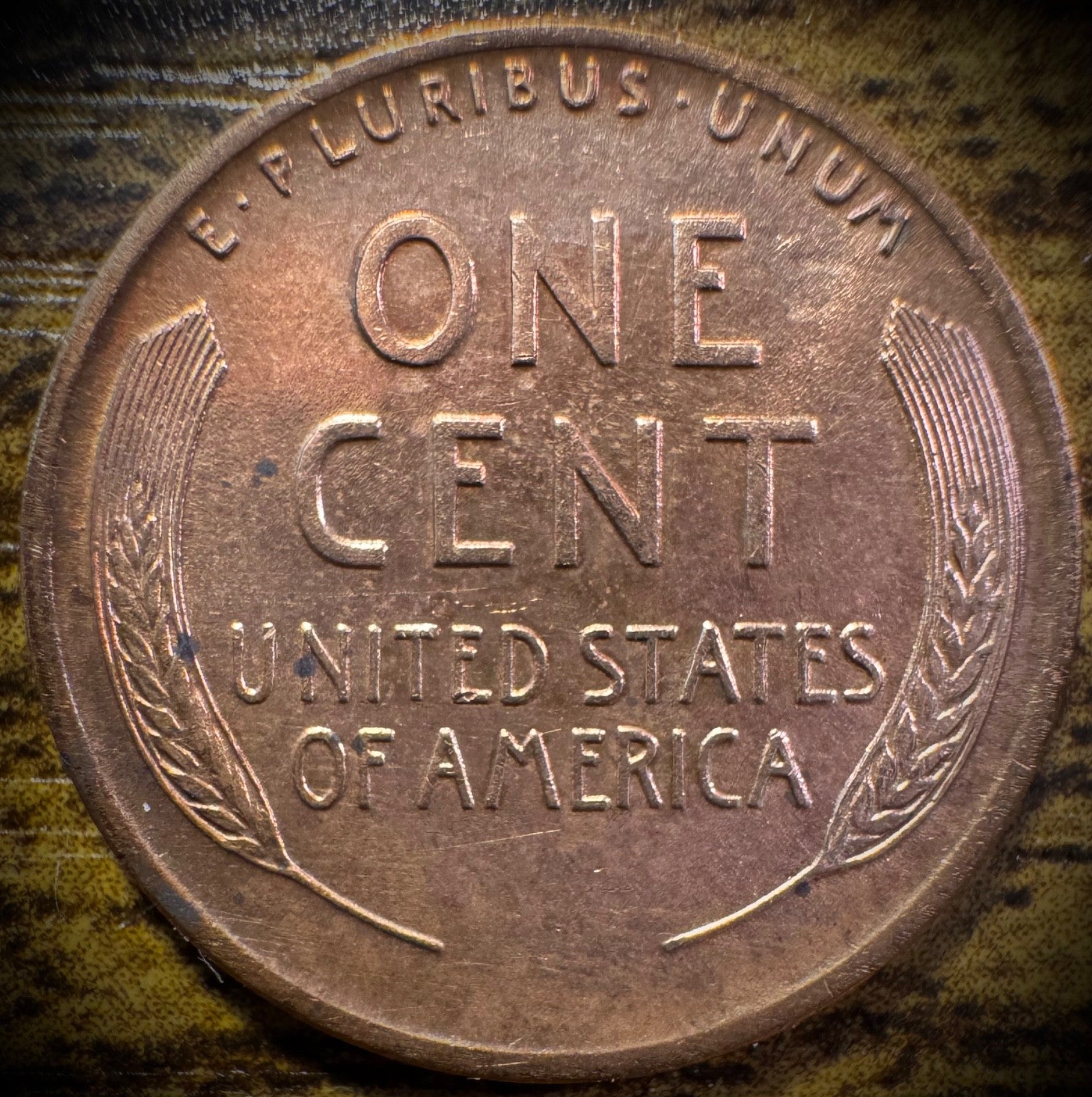 1919-P Lincoln Wheat Cent1