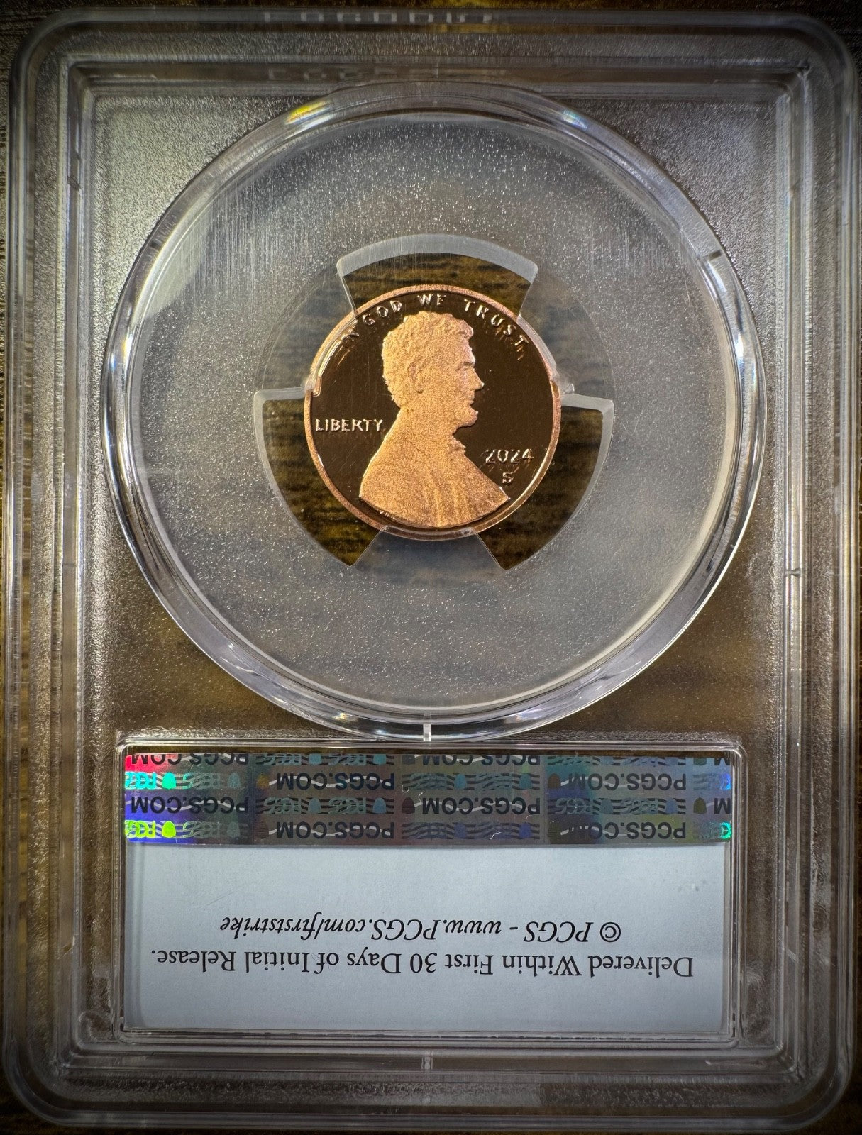 2024-S Lincoln Shield Cent PCGS PR69RD DCAM FIRST STRIKE Proof Penny Coin1