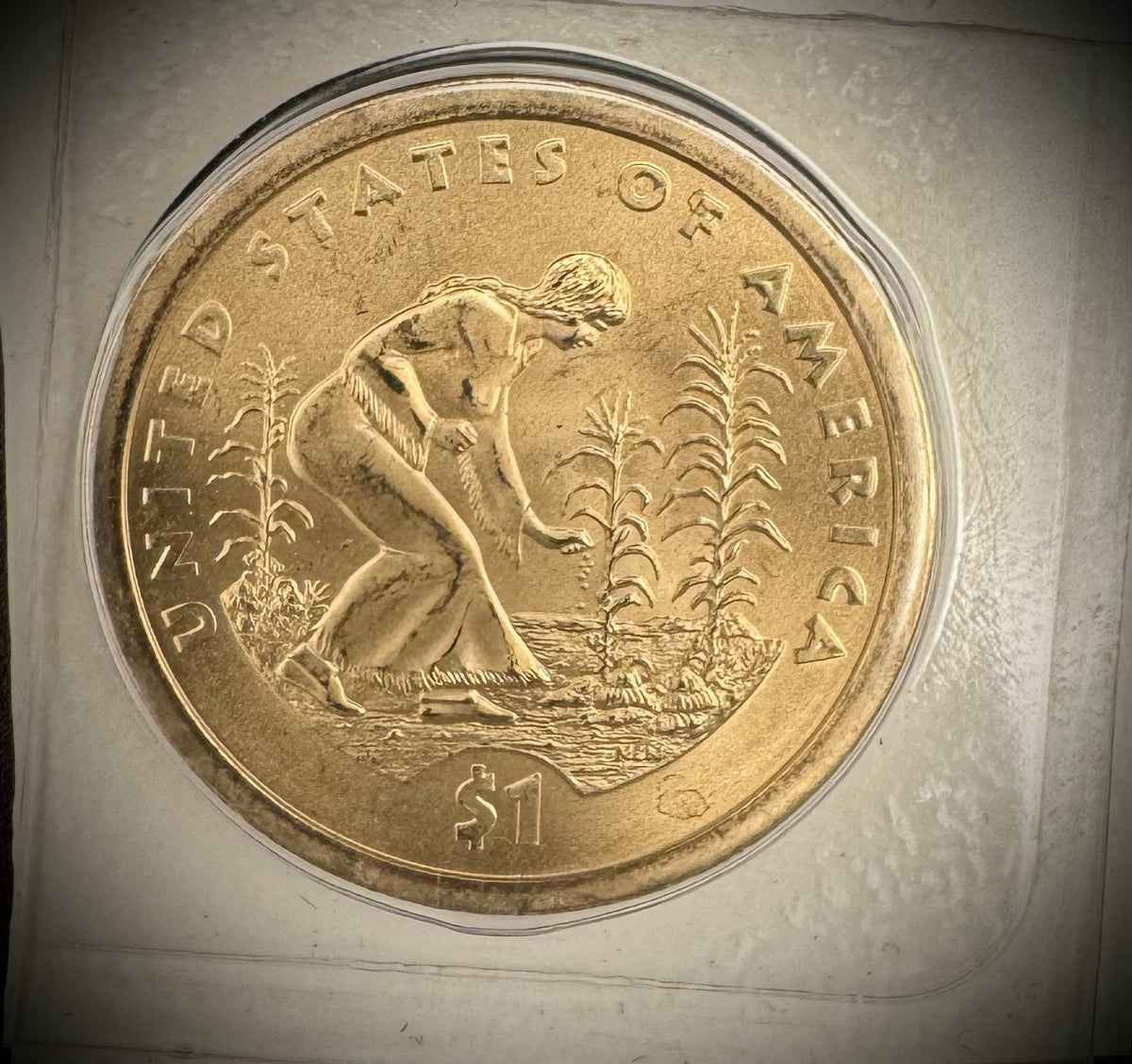 2009 P D Satin Finish Sacagawea Dollar 2 Coin Lot From US Mint Uncirculated Set3