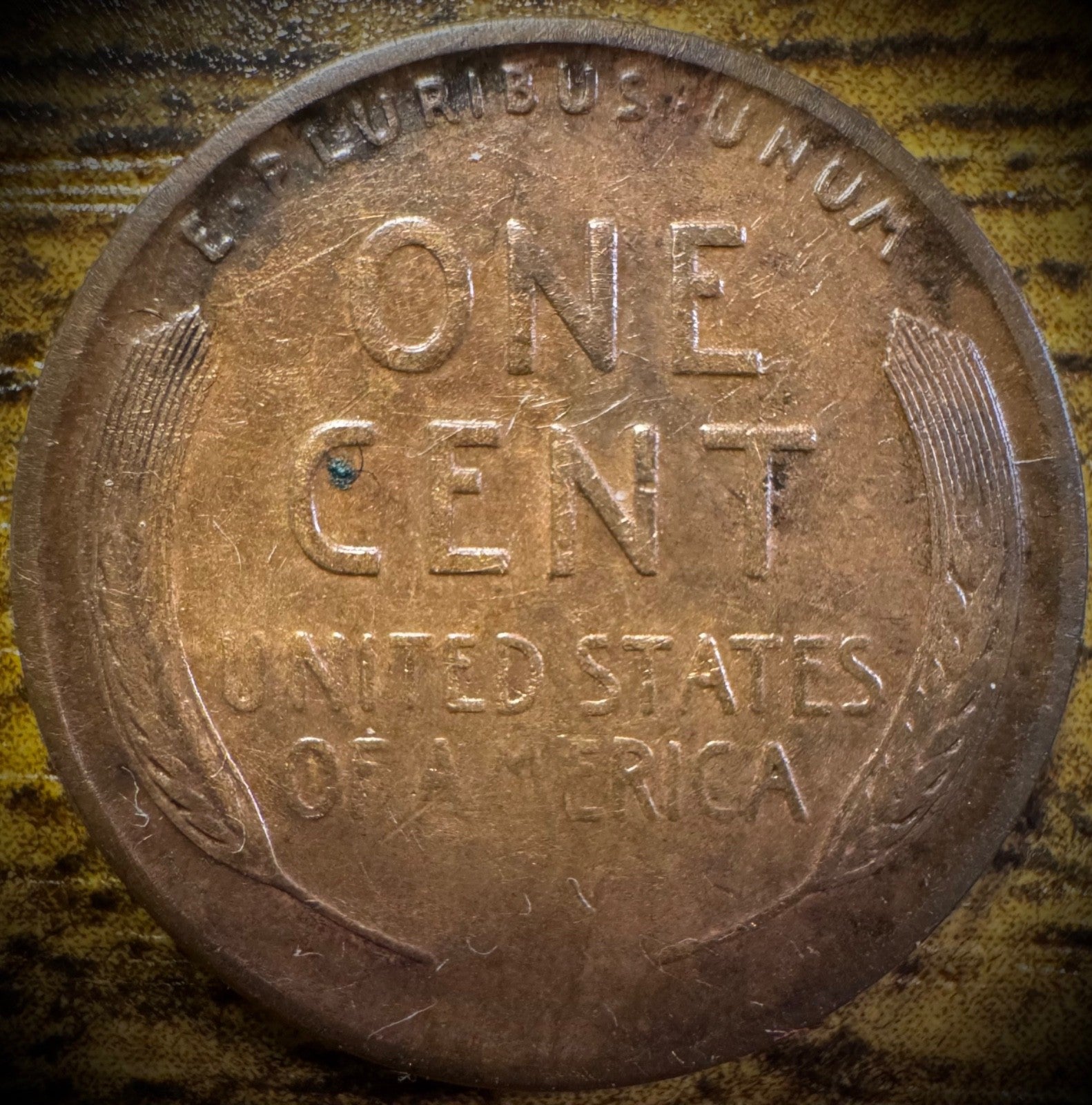 1920-S Lincoln Wheat Cent Penny #21