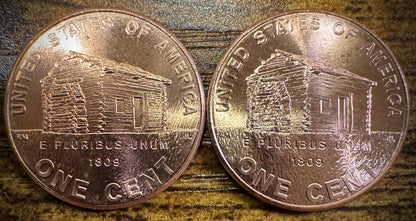 2009 Lincoln Cent Birthplace LP1 P D Uncirculated BU 2 Coins From US Mint Rolls0