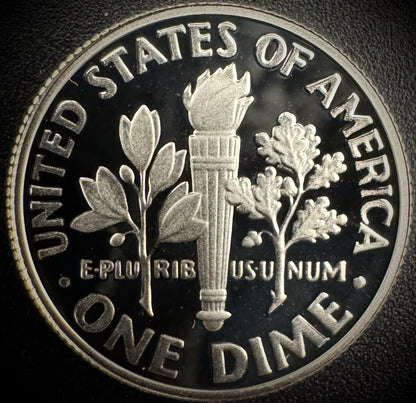 2021-S 99.9% SILVER PROOF Roosevelt Dime .999 Fine DEEP ULTRA CAMEO Coin1