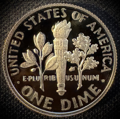 2025-S 99.9% SILVER And Clad PROOF Roosevelt Dime 10C .999 Fine Lot Of 2 Coins3