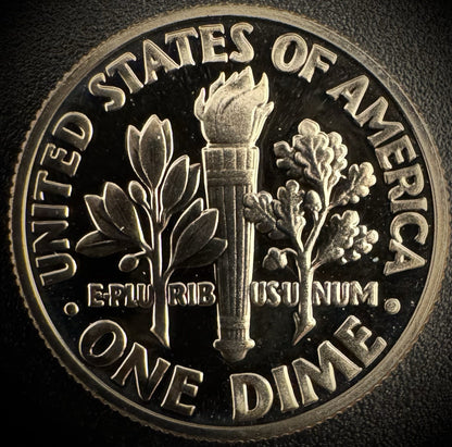 1981-S PROOF Roosevelt Dime 10C Clad DEEP CAMEO Coin From US Mint Proof Set1