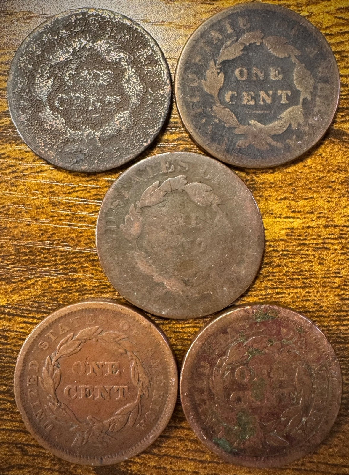 Lot Of 5 Large Cents Coronet Head Matron Style Braided Hair1