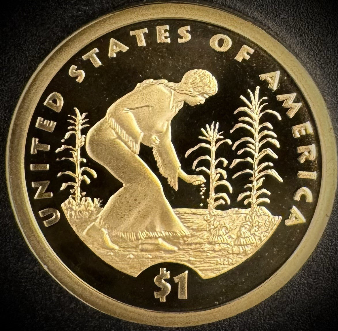 2009-S Sacagawea Dollar GEM PROOF DEEP ULTRA CAMEO Coin1