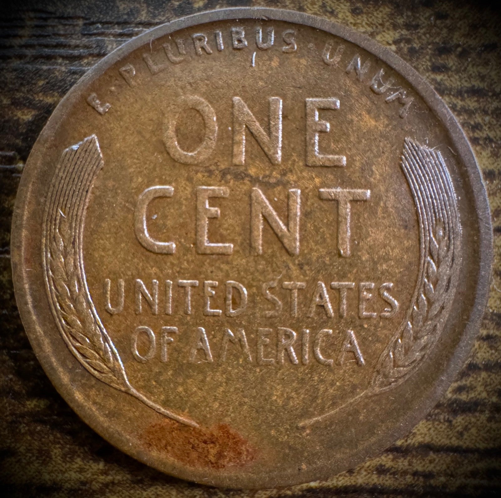1917-S Lincoln Wheat Cent Penny XF1