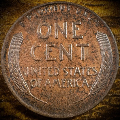 1929-D Lincoln Wheat Cent Penny Uncirculated Toned VIDEO1