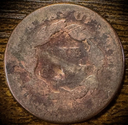 Lot Of 5 Large Cents Draped Bust Coronet Head Matron Style Braided Hair5