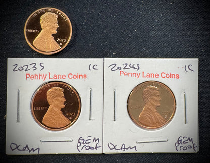 Custom Penny Lane Coins Lot for R. Semones